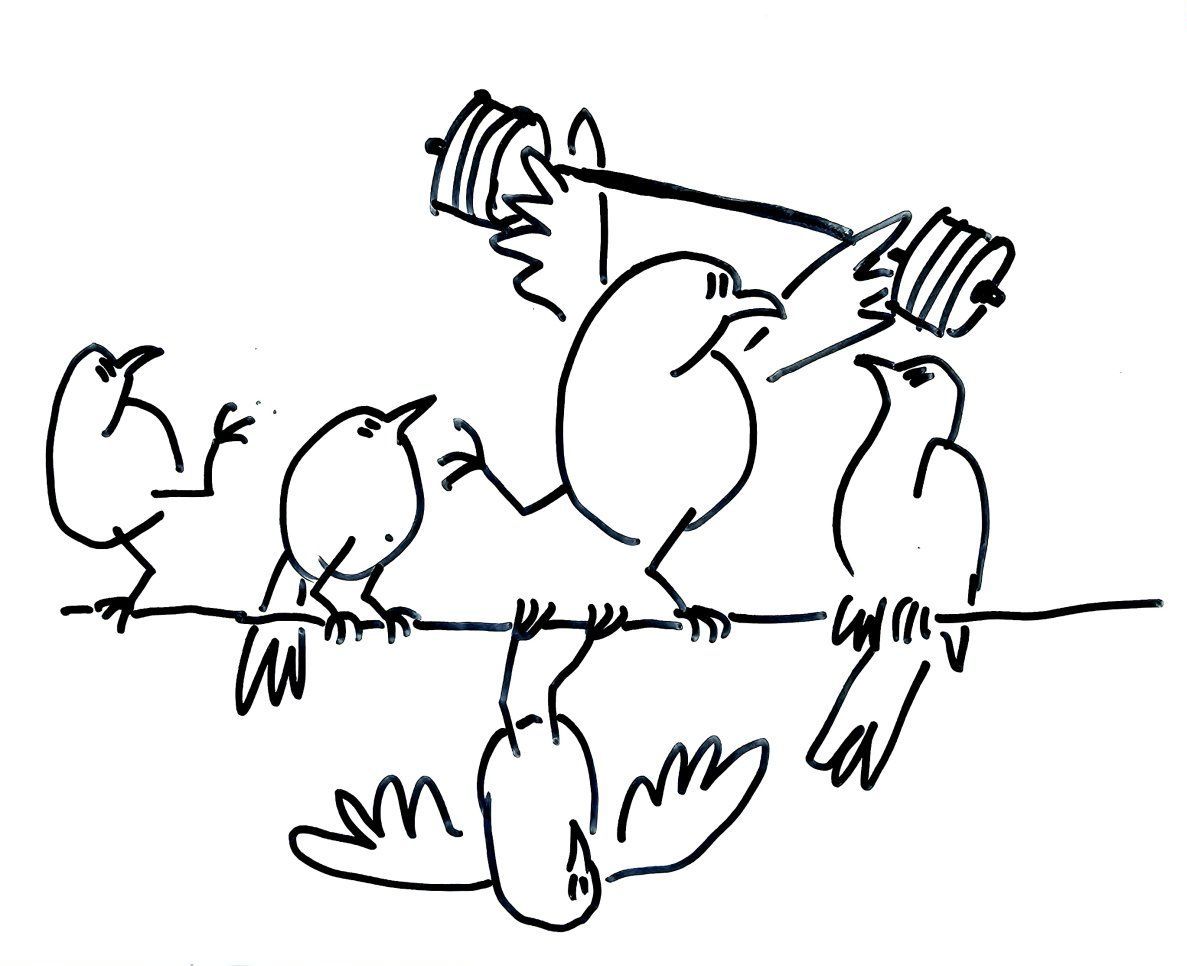 Offre Early Bird